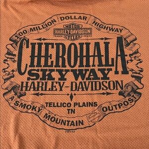 Harley Davidson Mesh Graphic TShirt Orange Size Estimated Size 3XL